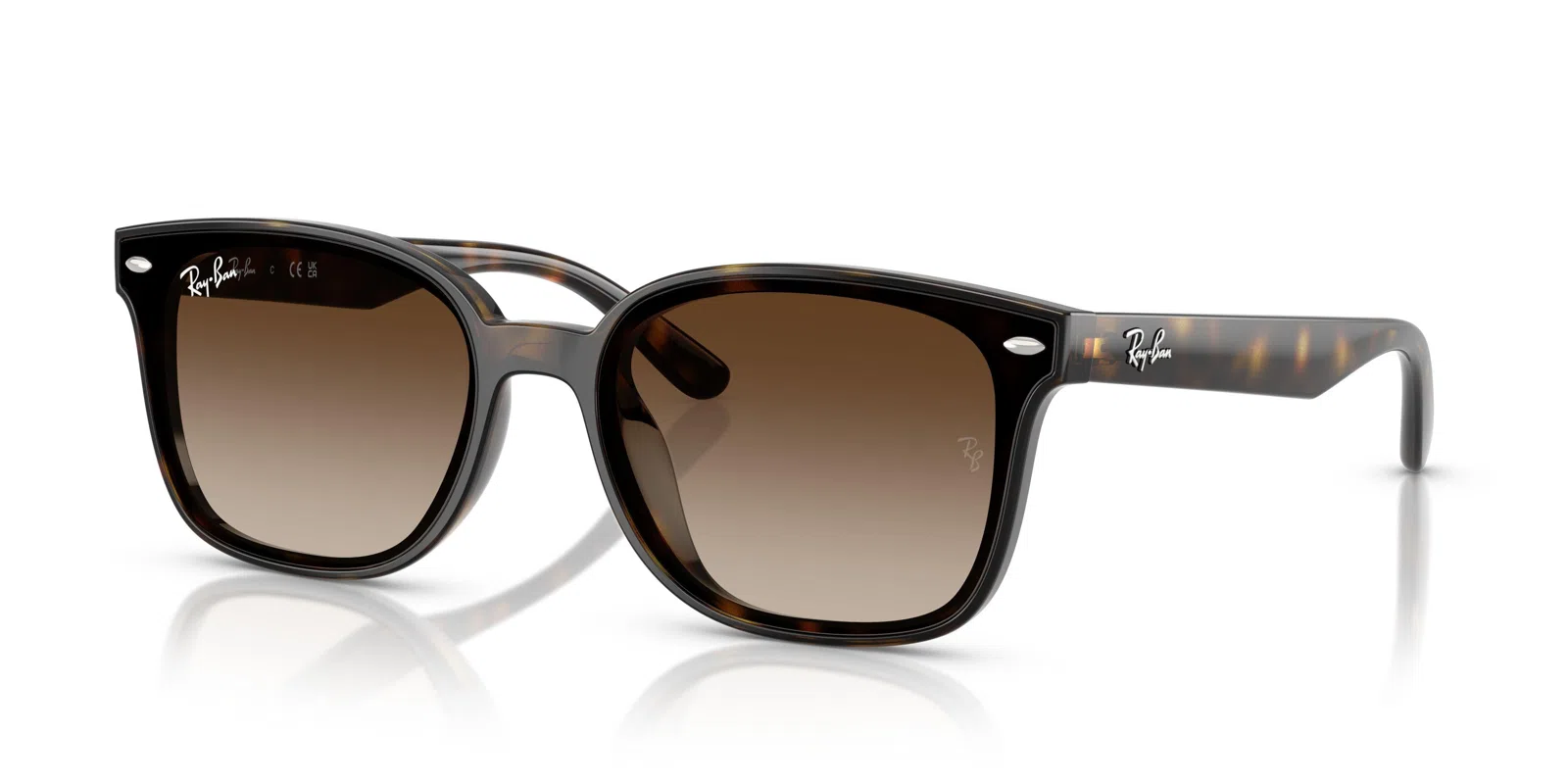 Ray-Ban 4461D Sunglasses - view 12